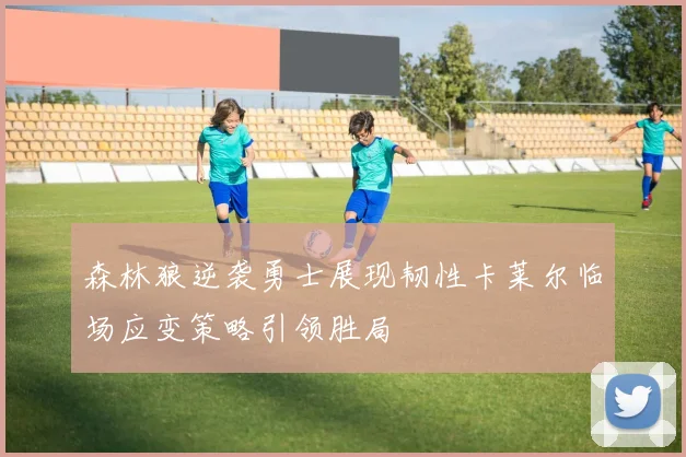 森林狼逆袭勇士展现韧性卡莱尔临场应变策略引领胜局