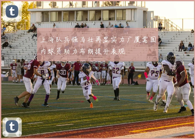 上海队兵强马壮再显实力广厦需国内球员助力布朗提升表现