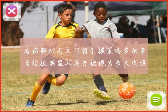 名宿解析尤文门将引援策略多纳鲁马短板明显3C离开被视为重大失误